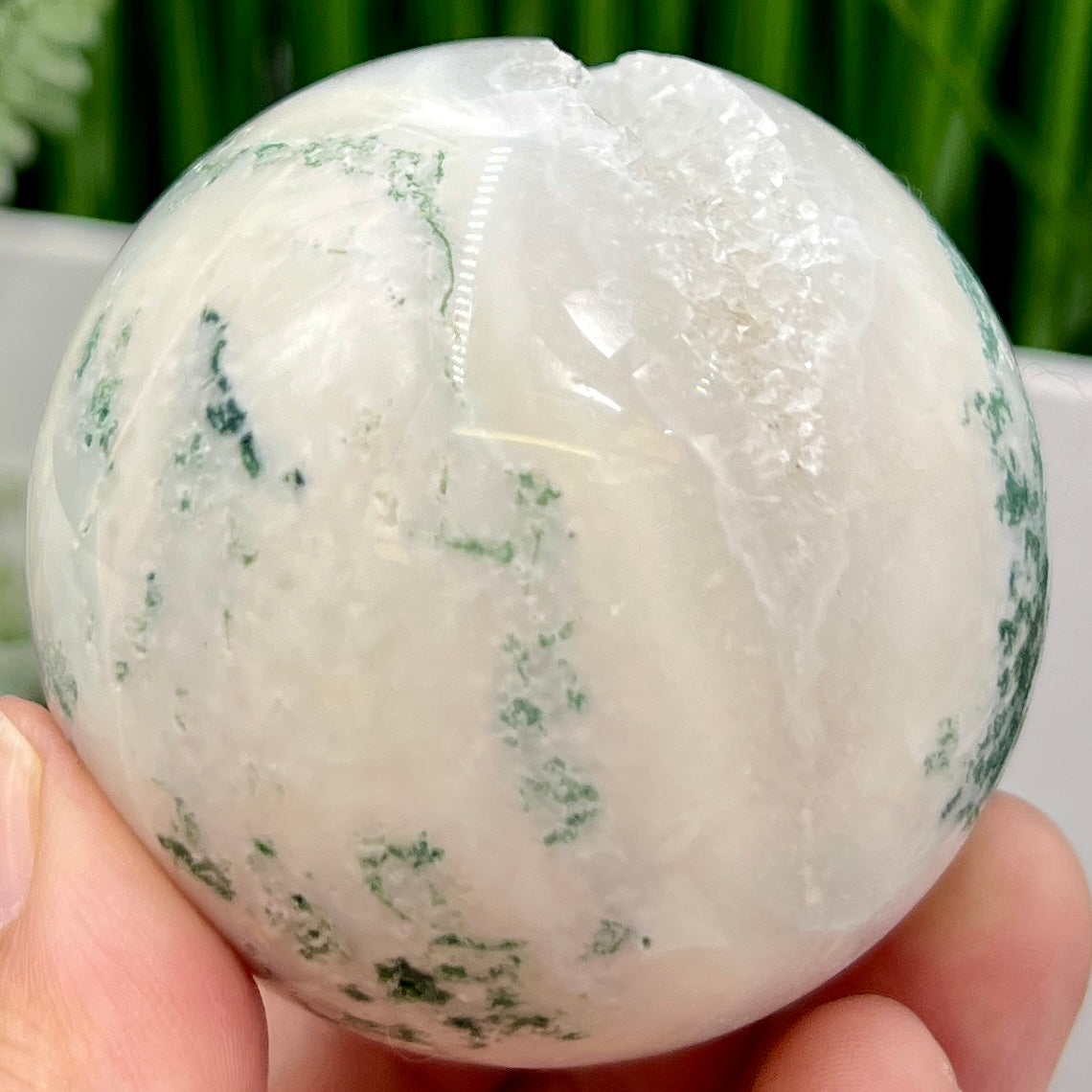 Tree Agate Sphere High Quality Crystal Ball 252g 59mm