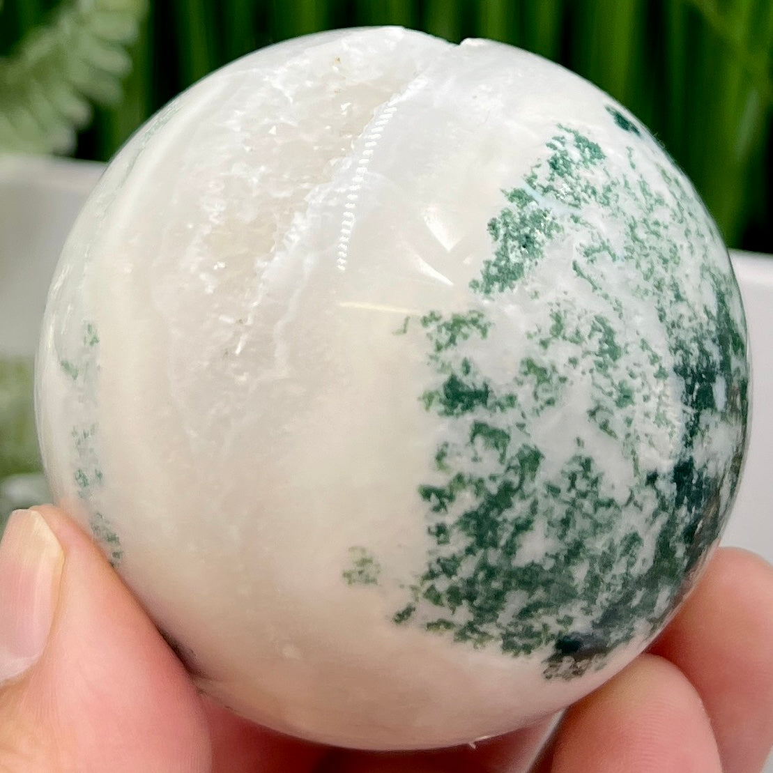 Tree Agate Sphere High Quality Crystal Ball 252g 59mm