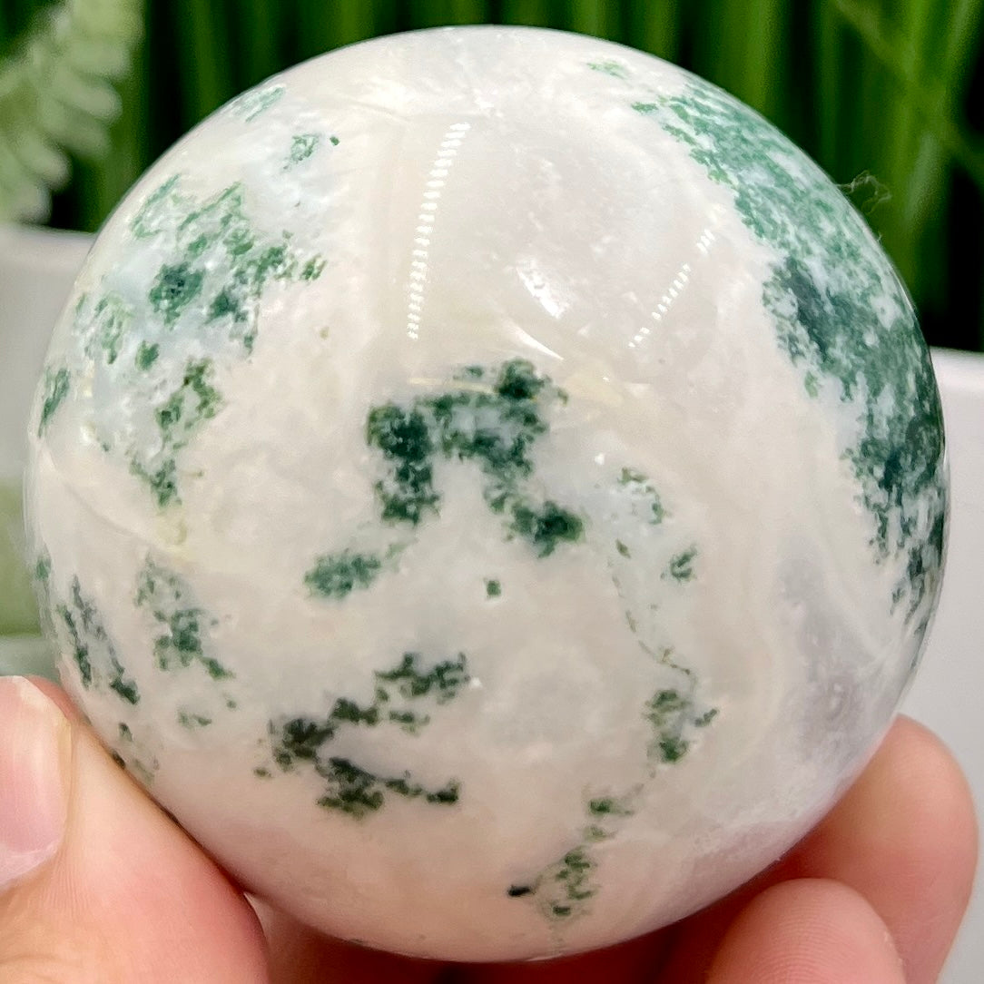 Tree Agate Sphere High Quality Crystal Ball 252g 59mm