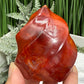 Carnelian Flame Stone of Endurance Motivation Healing Crystal Carving 246g