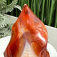 Carnelian Flame Stone of Endurance Motivation Healing Crystal Carving 139g