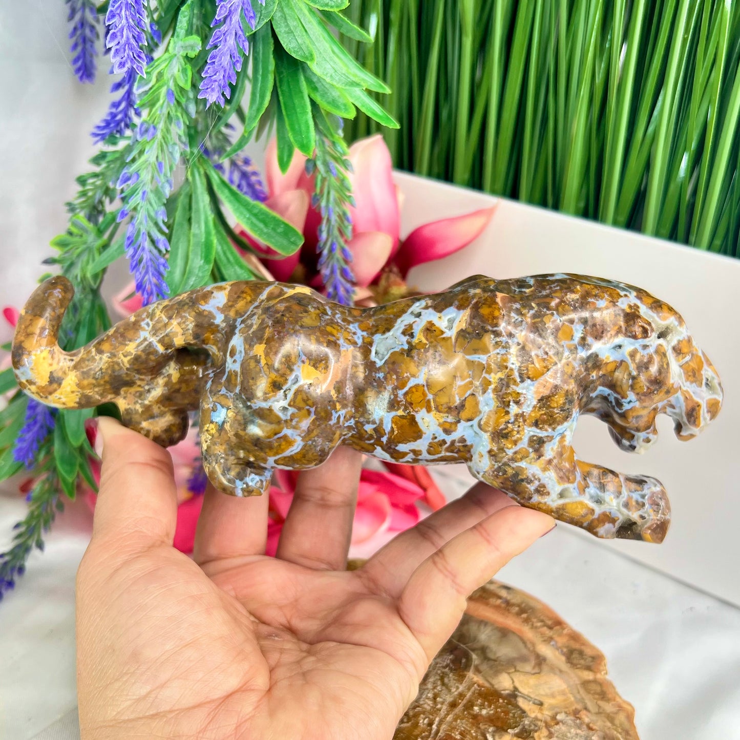 Bubble Ocean Sea Orbicular Jasper Big Wild Cat Leopard Crystal Carving 811g