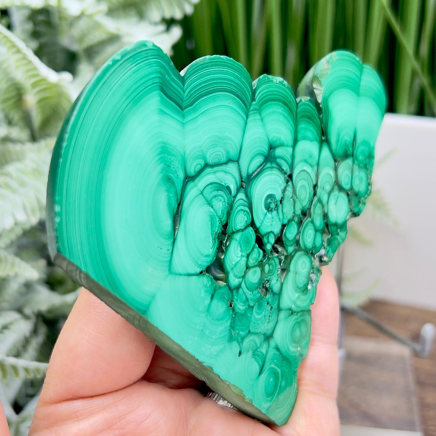 Malachite Slice Natural Specimen with Stand Crystal Slab 208g