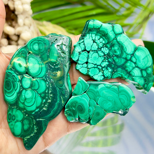 Malachite Slices Natural Specimens Healing Crystal Slabs