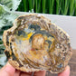 Petrified Wood Slab Crystal Specimen Coaster Slice 288g