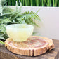 Petrified Wood Slab Crystal Specimen Coaster Slice 310g