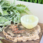 Petrified Wood Slab Crystal Specimen Coaster Slice 412g