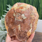 Petrified Wood Slab Crystal Specimen Coaster Slice 614g