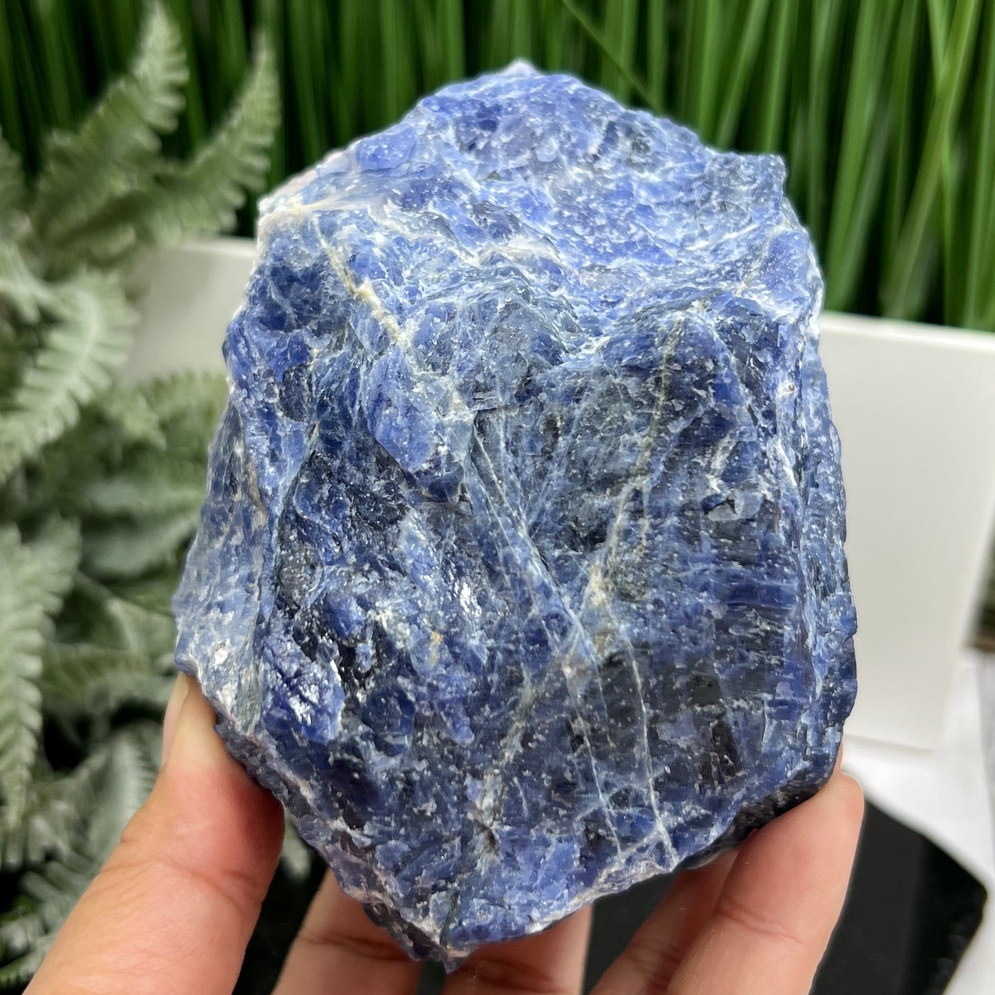 Sodalite Natural Raw Large Flashy High Quality Specimen Crystal 1144g