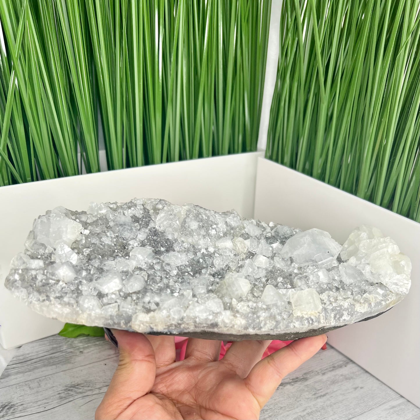 Apophyllite Cluster Natural Crystal Clear Large Specimen