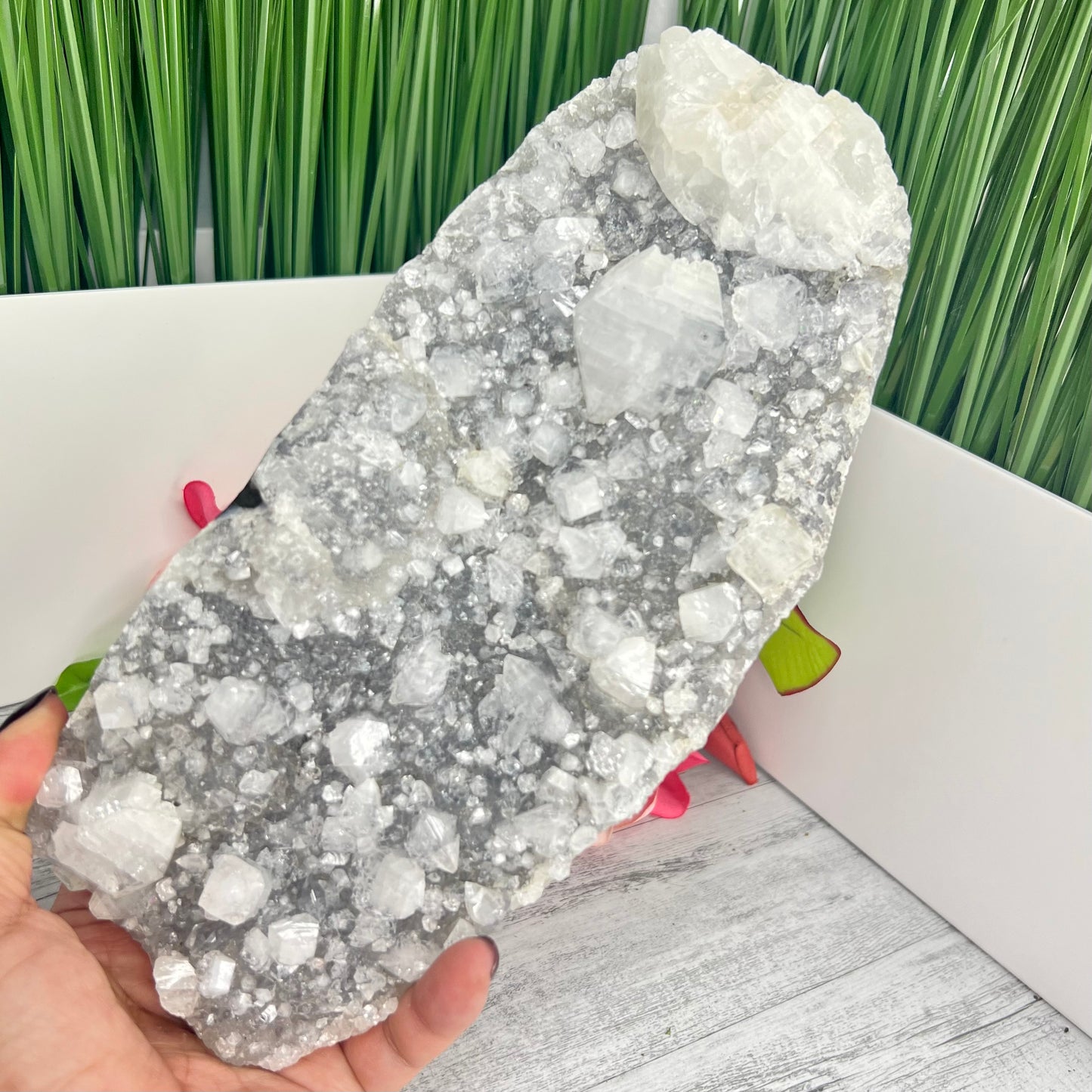 Apophyllite Cluster Natural Crystal Clear Large Specimen