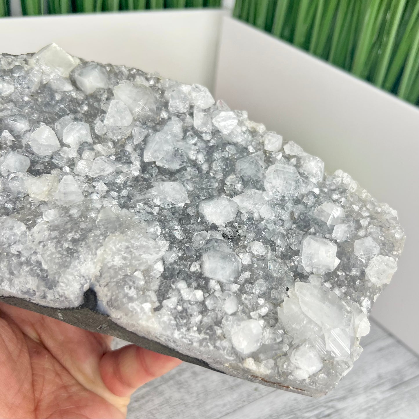 Apophyllite Cluster Natural Crystal Clear Large Specimen