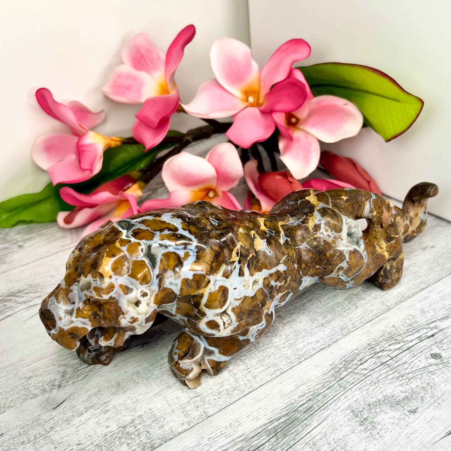 Bubble Ocean Sea Orbicular Jasper Big Wild Cat Leopard Crystal Carving 811g