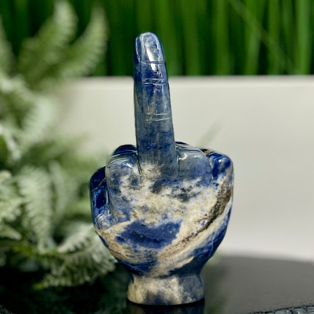 Sodalite Flipping the Bird Middle Finger Crystal 596g 152mm