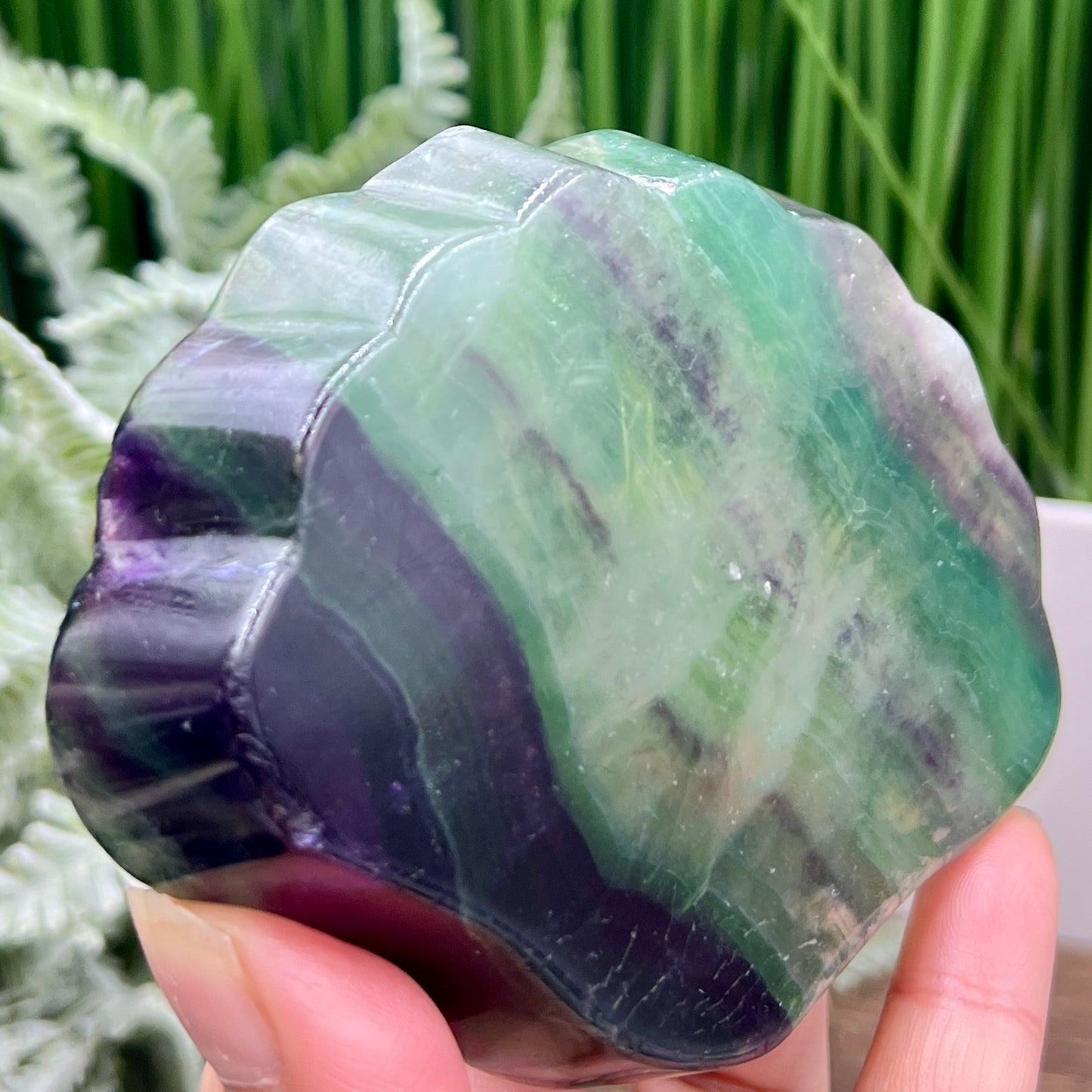 Purple Green Fluorite Shell Shaped Bowl Crystal Carving 246g