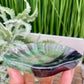 Purple Green Fluorite Shell Shaped Bowl Crystal Carving 246g