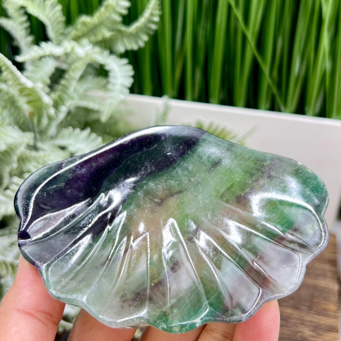 Purple Green Fluorite Shell Shaped Bowl Crystal Carving 246g