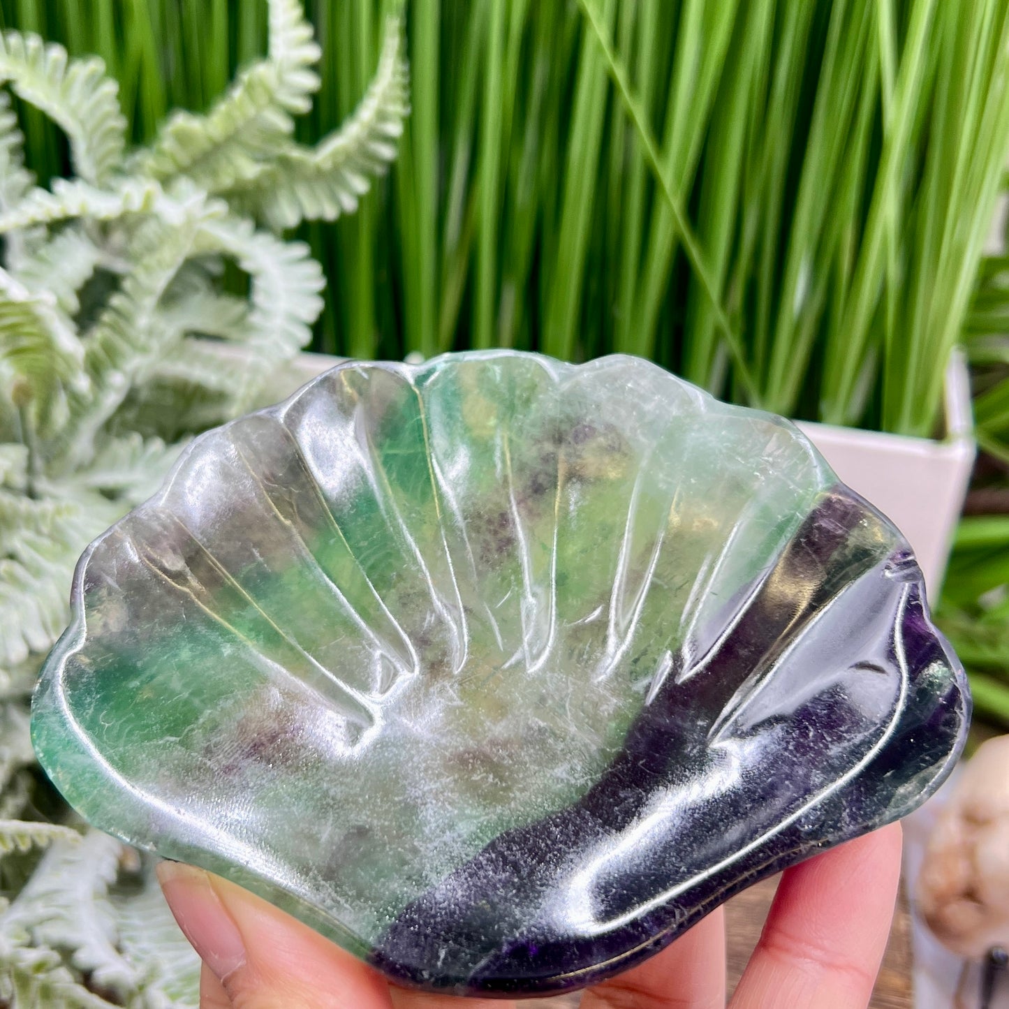 Purple Green Fluorite Shell Shaped Bowl Crystal Carving 246g