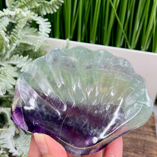 Purple Green Fluorite Shell Shaped Bowl Crystal Carving 276g