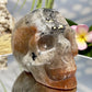 Mosaic Chalcedony Quartz Rare Skull Healing Crystal Carving 977g