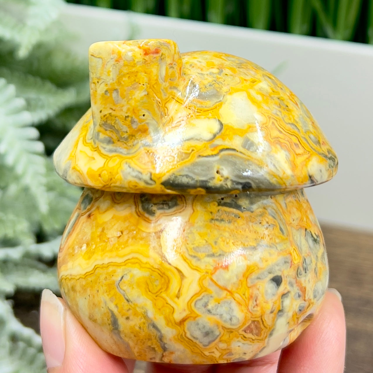 Crazy Lace Agate Mushroom House Haling Crystal Carving 338g