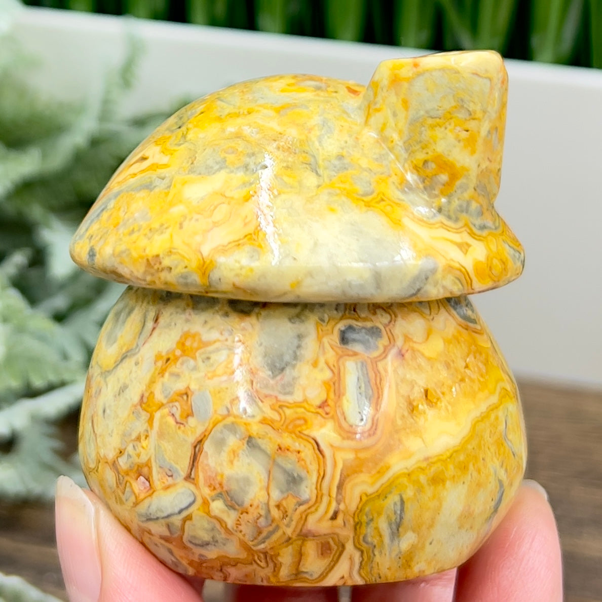 Crazy Lace Agate Mushroom House Haling Crystal Carving 338g