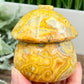 Crazy Lace Agate Mushroom House Haling Crystal Carving 338g