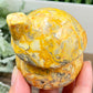 Crazy Lace Agate Mushroom House Haling Crystal Carving 338g