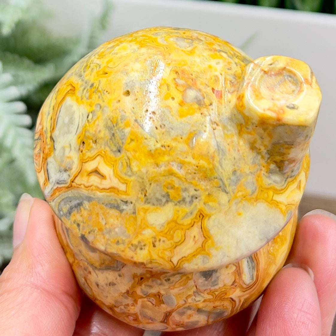 Crazy Lace Agate Mushroom House Haling Crystal Carving 338g