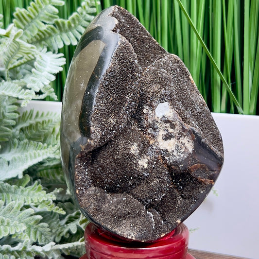 Dragon Septarian Egg with Stand Crystal Carving 934g