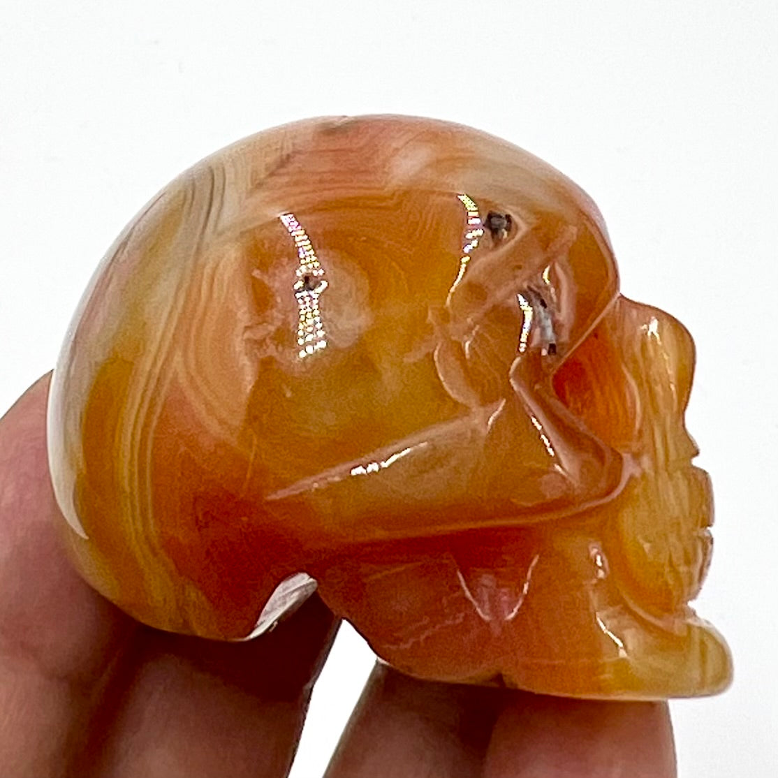 Carnelian Skull 2 With Druzy Inches Rare Hand Carved Crystal Carving