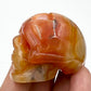 Carnelian Skull 2 With Druzy Inches Rare Hand Carved Crystal Carving