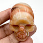 Carnelian Skull 2 Inches Rare Hand Carved Crystal Carving