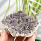 Amethyst Stalactites Cluster with Stand Raw Natural Crystal 179g