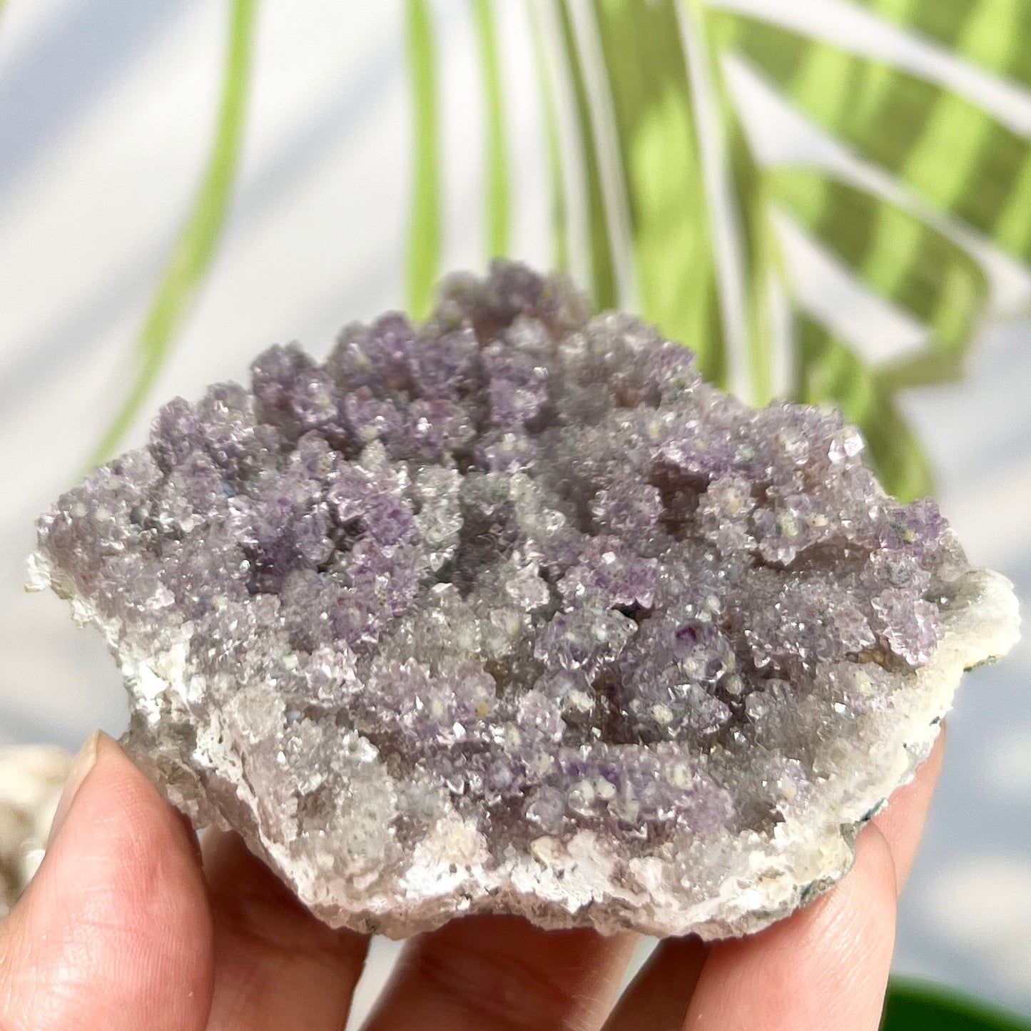 Amethyst Stalactites Cluster with Stand Raw Natural Crystal 179g