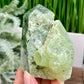 Prehnite with Epidote Tower Crystal Generator 230g