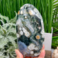 8th Vein Orbicular Sea Ocean Jasper Bubble Free Form Round Eye Crystal 854g