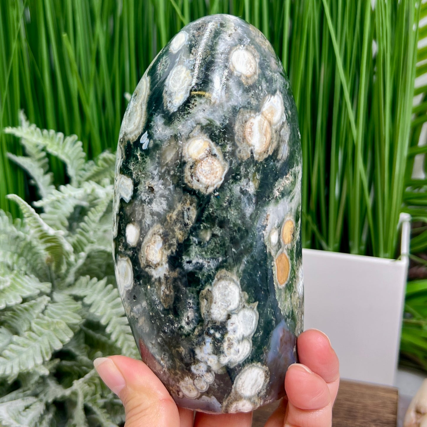 8th Vein Orbicular Sea Ocean Jasper Bubble Free Form Round Eye Crystal 854g