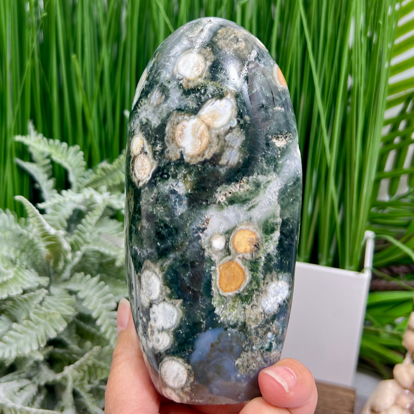 8th Vein Orbicular Sea Ocean Jasper Bubble Free Form Round Eye Crystal 854g