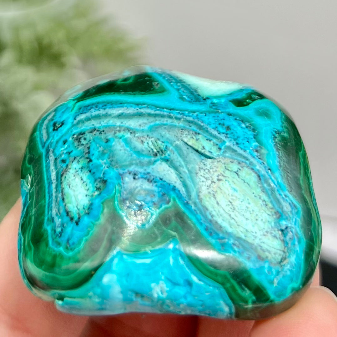 Chrysocolla Malachite Palm Stone Worry Meditation Crystal Peru 156g