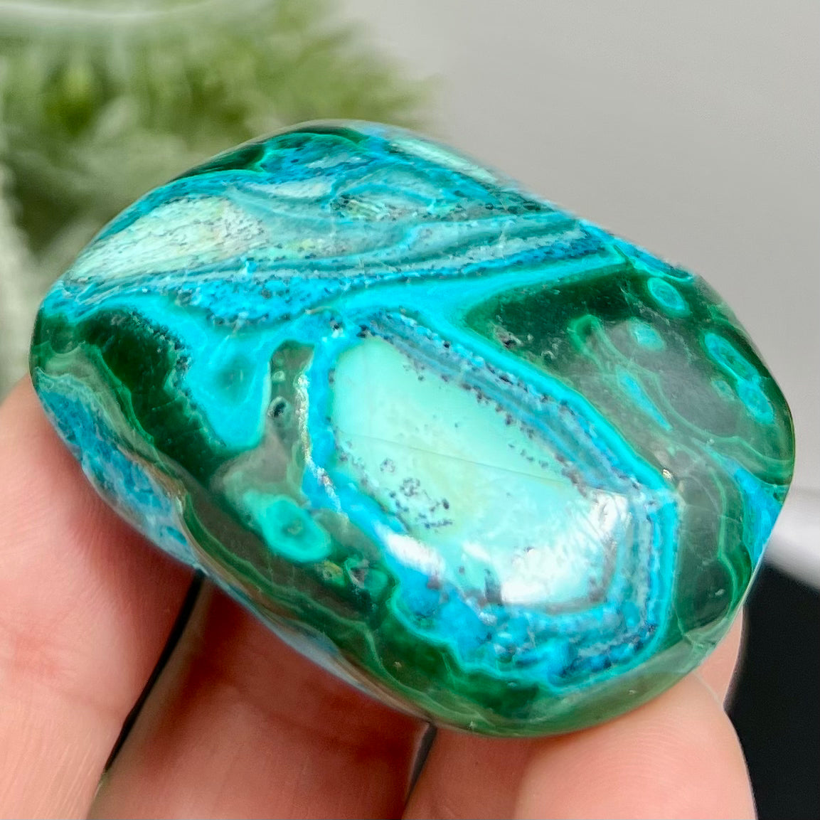 Chrysocolla Malachite Palm Stone Worry Meditation Crystal Peru 156g