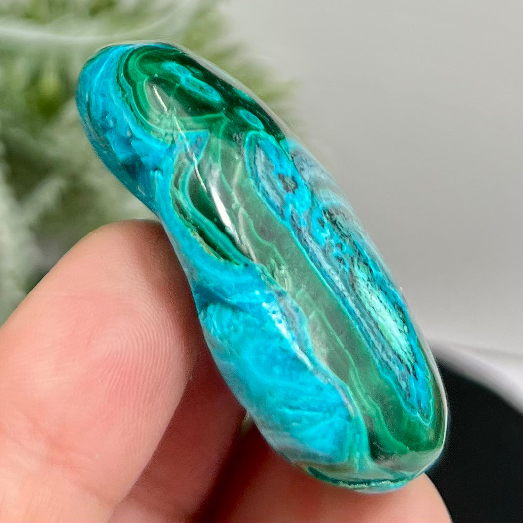 Chrysocolla Malachite Palm Stone Worry Meditation Crystal Peru 156g