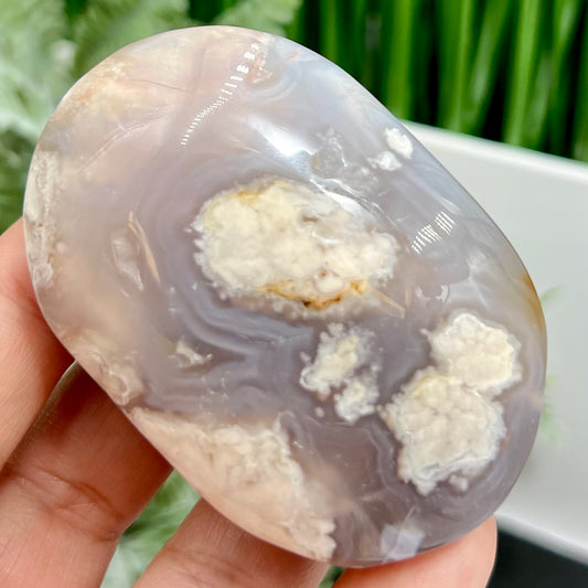 Black Flower Agate Palm Stone Worry Meditation Crystal