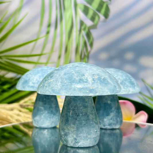 Large Blue Calcite Mushrooms Crystal Carvings