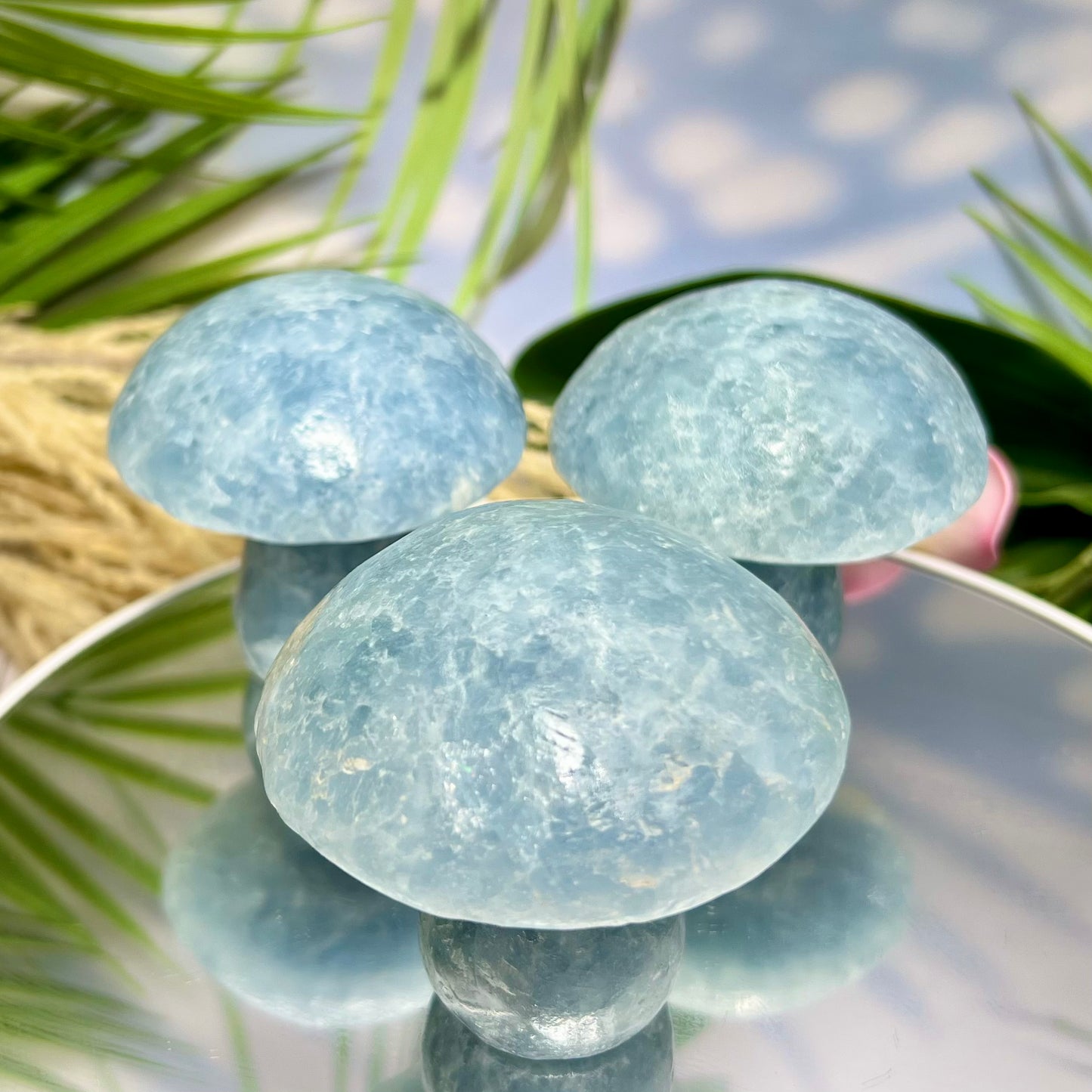 Large Blue Calcite Mushrooms Crystal Carvings