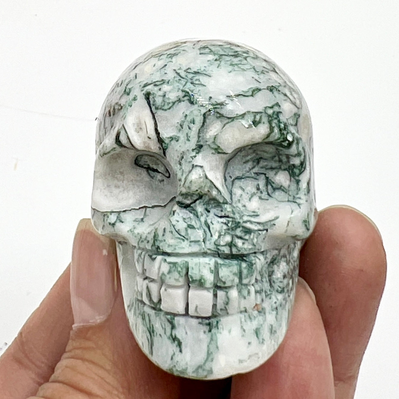 Tree Agate Skull 2 Inches Hand Carved Crystal Carving