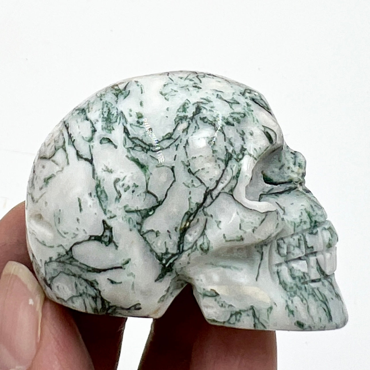 Tree Agate Skull 2 Inches Hand Carved Crystal Carving