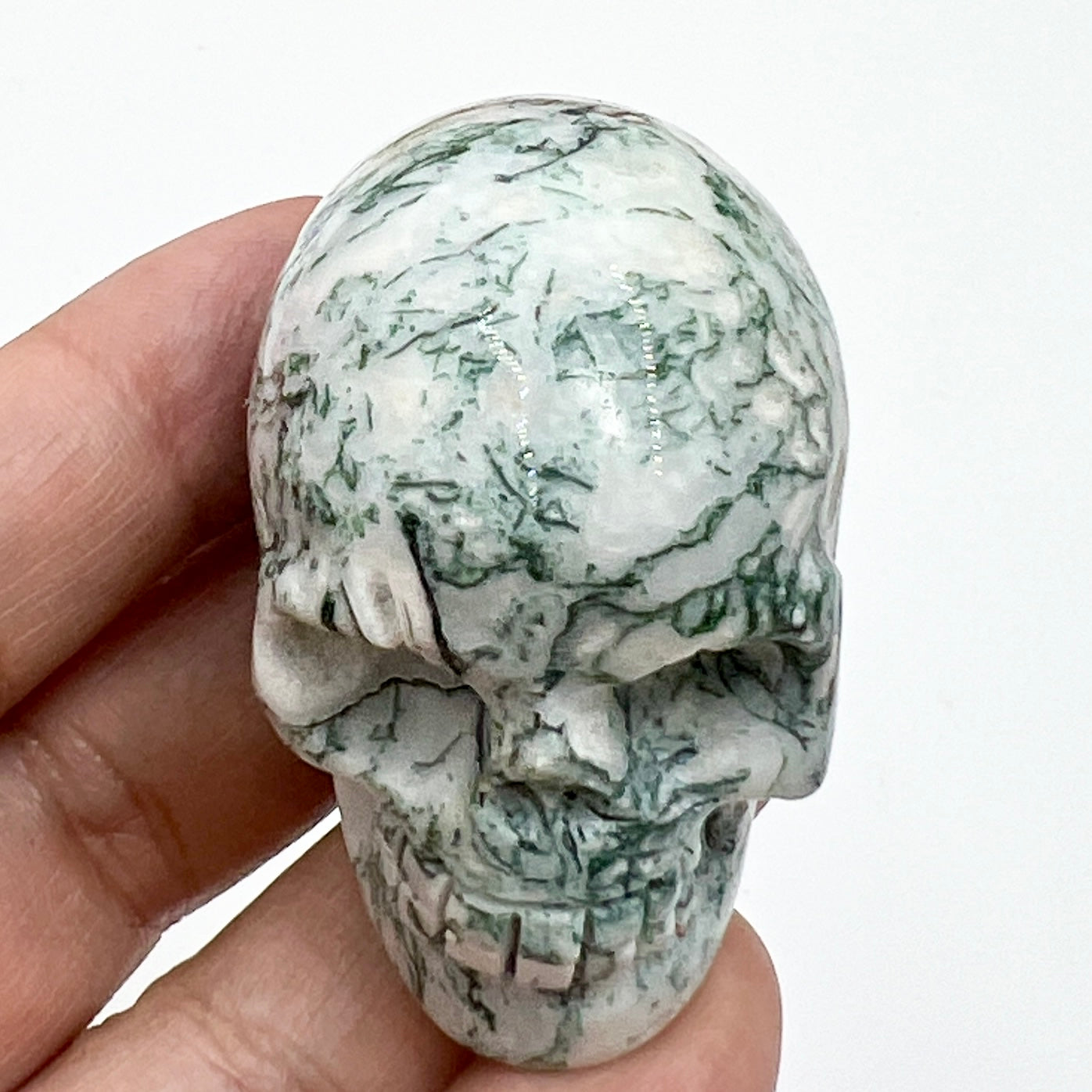 Tree Agate Skull 2 Inches Hand Carved Crystal Carving