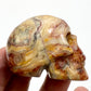 Crazy Lace Agate Skull 2 Inches Hand Carved Crystal Carving