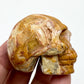 Crazy Lace Agate Skull 2 Inches Hand Carved Crystal Carving